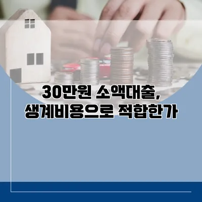 30만원 소액대출, 생계비용으로 적합한가?