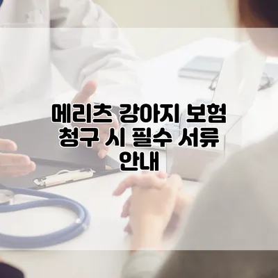 메리츠 강아지 보험 청구 시 필수 서류 안내