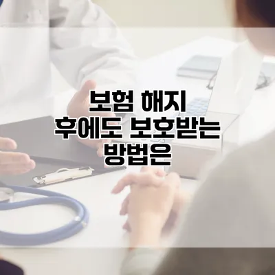 보험 해지 후에도 보호받는 방법은?