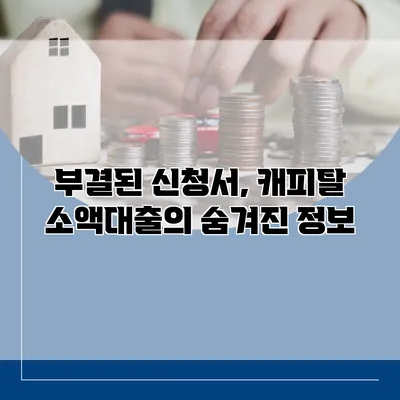 부결된 신청서, 캐피탈 소액대출의 숨겨진 정보