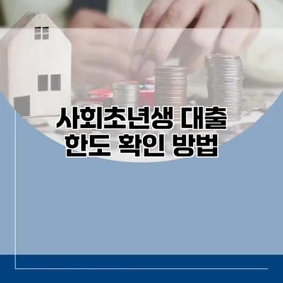사회초년생 대출 한도 확인 방법