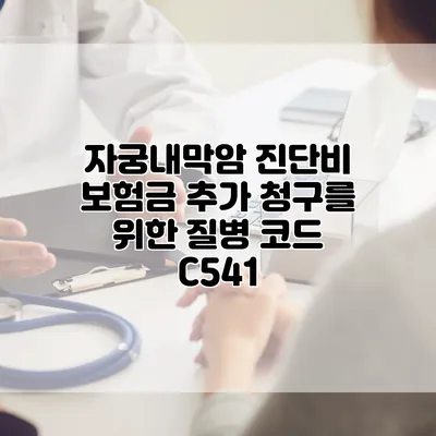 자궁내막암 진단비 보험금 추가 청구를 위한 질병 코드 C541
