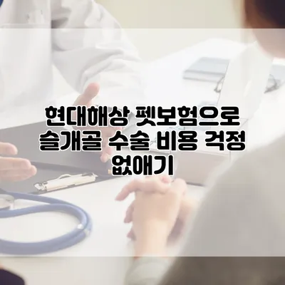 현대해상 펫보험으로 슬개골 수술 비용 걱정 없애기