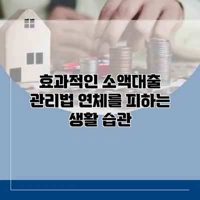 효과적인 소액대출 관리법 연체를 피하는 생활 습관