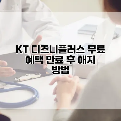 KT 디즈니플러스 무료 혜택 만료 후 해지 방법