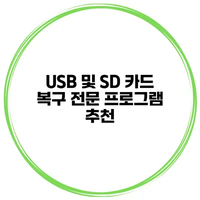 USB 및 SD 카드 복구 전문 프로그램 추천