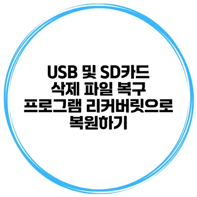 USB 및 SD카드 삭제 파일 복구 프로그램 리커버릿으로 복원하기