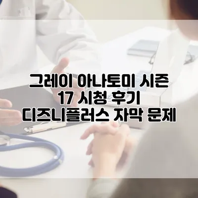 그레이 아나토미 시즌 17 시청 후기: 디즈니플러스 자막 문제