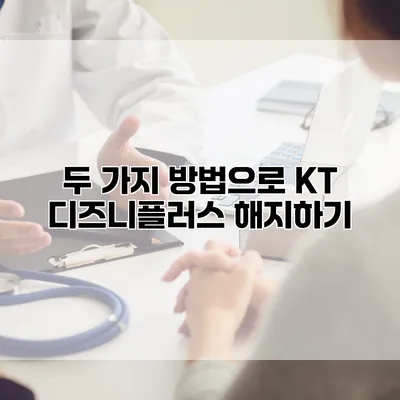 두 가지 방법으로 KT 디즈니플러스 해지하기