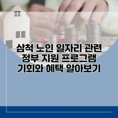 삼척 노인 일자리 관련 정부 지원 프로그램: 기회와 혜택 알아보기