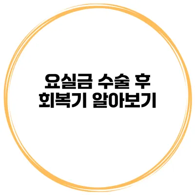 요실금 수술 후 회복기 알아보기